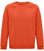 SOLS Space Organic Sweatshirt