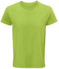 SOLS Crusader Organic T