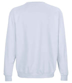 03814 Creamy Blue Back