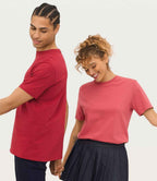 03981 Folk Pink Model