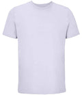 03981 Lilac Front