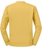 262M Mustard Back