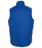 44002 Royal Blue Back