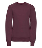 Russell Athletic Kids Raglan Sweatshirt