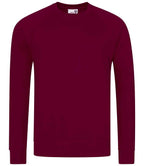 AWD Academy Senior Raglan Sweat