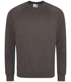 AWD Academy Senior Raglan Sweat