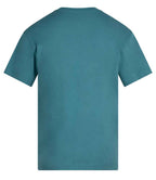 AM15 Teal Back