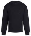 Anthem Headline Heavy L/S T-Shirt