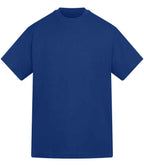Anthem Amplify Heavyweight T-Shirt