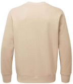 AM20 Desert Sand Back