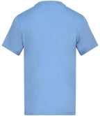 AT001 Cornflower Back