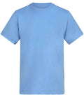 AT001 Cornflower Front
