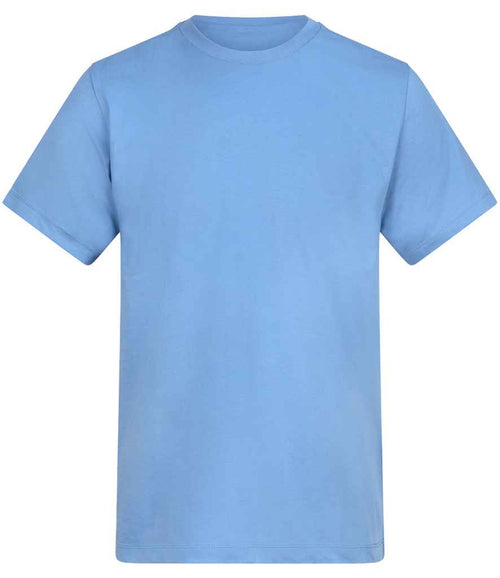 AT001 Cornflower Front
