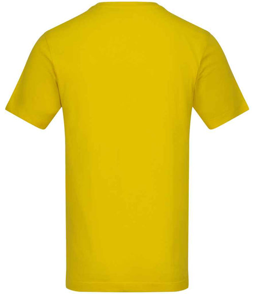 AT002 Sun yellow Back