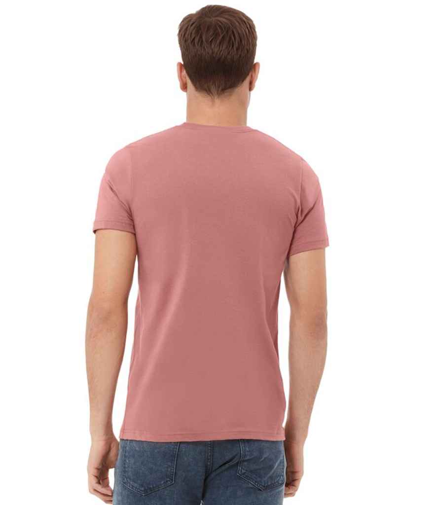CV3001 Mauve Model