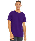 CV3001 Team Purple Model