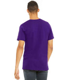 CV3001 Team Purple Model