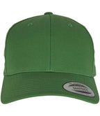 Flexfit Curved Classic Snapback Cap