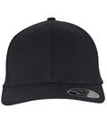 Flexfit 110 Curved Snapback