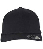 Flexfit 110 Curved Snapback