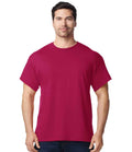 GD05 Cardinal Red Model