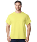 GD05 Cornsilk Model