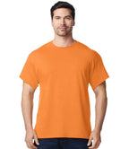 GD05 Tangerine Model