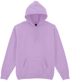 Gildan Heavy Blend Hood Swt