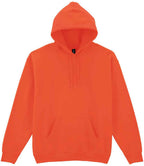 Gildan Heavy Blend Hood Swt
