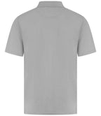H475 Silver Back