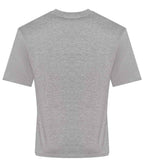 JT009 Heather Grey Back