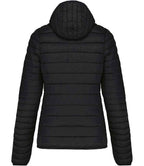 KB6111 Black Back