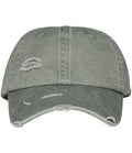 Nat. Spirit Washed Destroy Cap