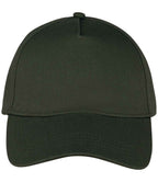 Native Spirit 5 Panel Cap