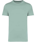 Native Spirit Unisex T 180 gsm