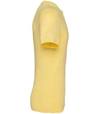NS305 Pineapple Left
