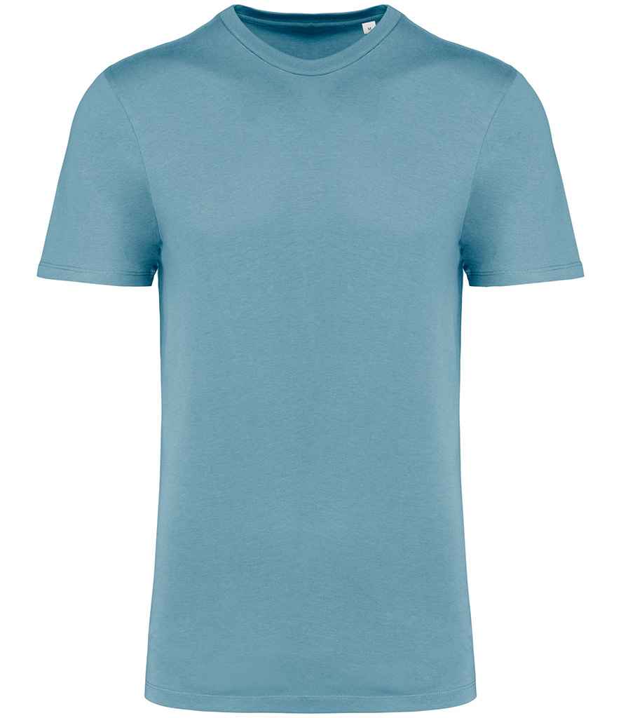 Native Spirit Crew Neck IC T-shirt