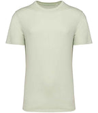 Native Spirit Crew Neck IC T-shirt