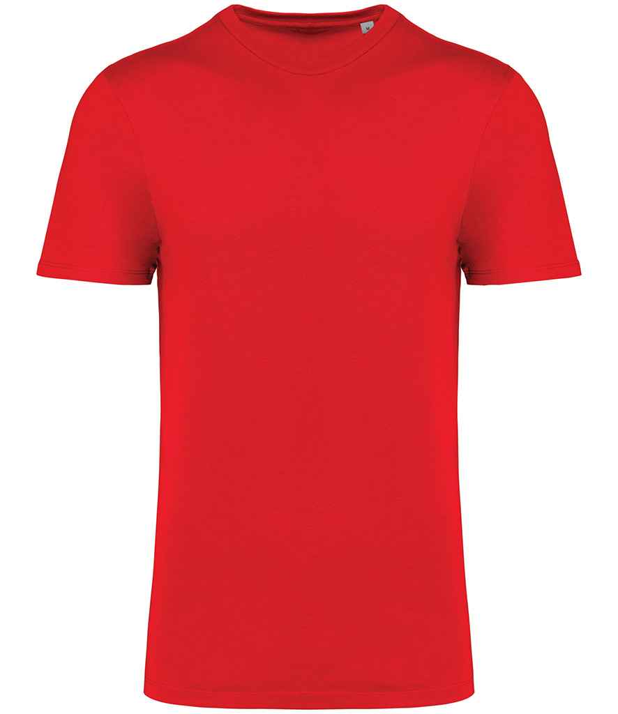 Native Spirit Crew Neck IC T-shirt