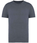 Native Spirit Faded T