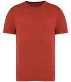 Native Spirit Faded T