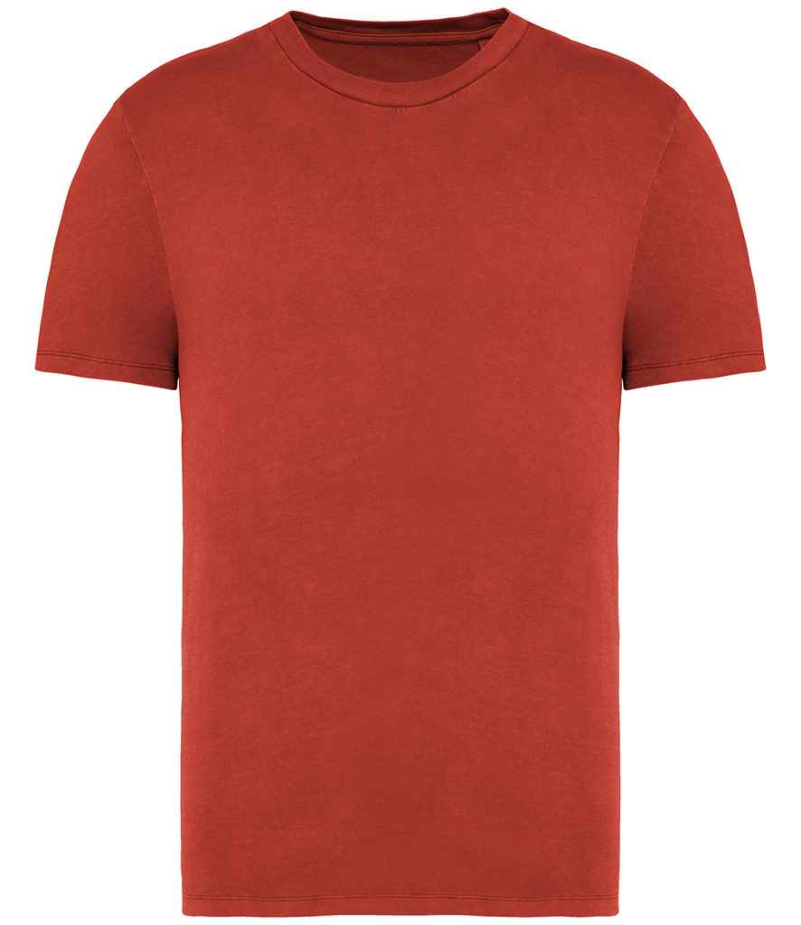 Native Spirit Faded T