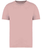 Native Spirit Faded T