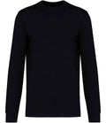 Nat. Spirit Crew Neck Long Sleeve T