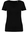 Native Spirit Ladies V Neck Tshirt