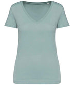 Native Spirit Ladies V Neck Tshirt