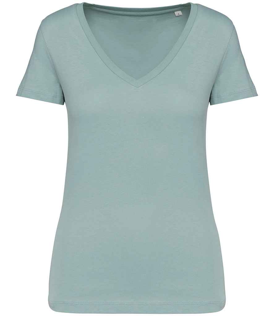 Native Spirit Ladies V Neck Tshirt