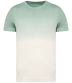 Native Spirit Tie Dye T