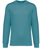 Native Spirit Unisex Crew Nk Sweat