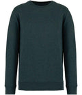 Native Spirit Unisex Crew Nk Sweat